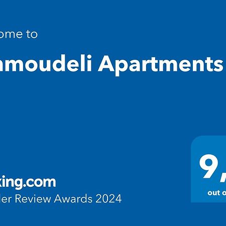 פלומרי Ammoudeli Apartments מראה חיצוני תמונה